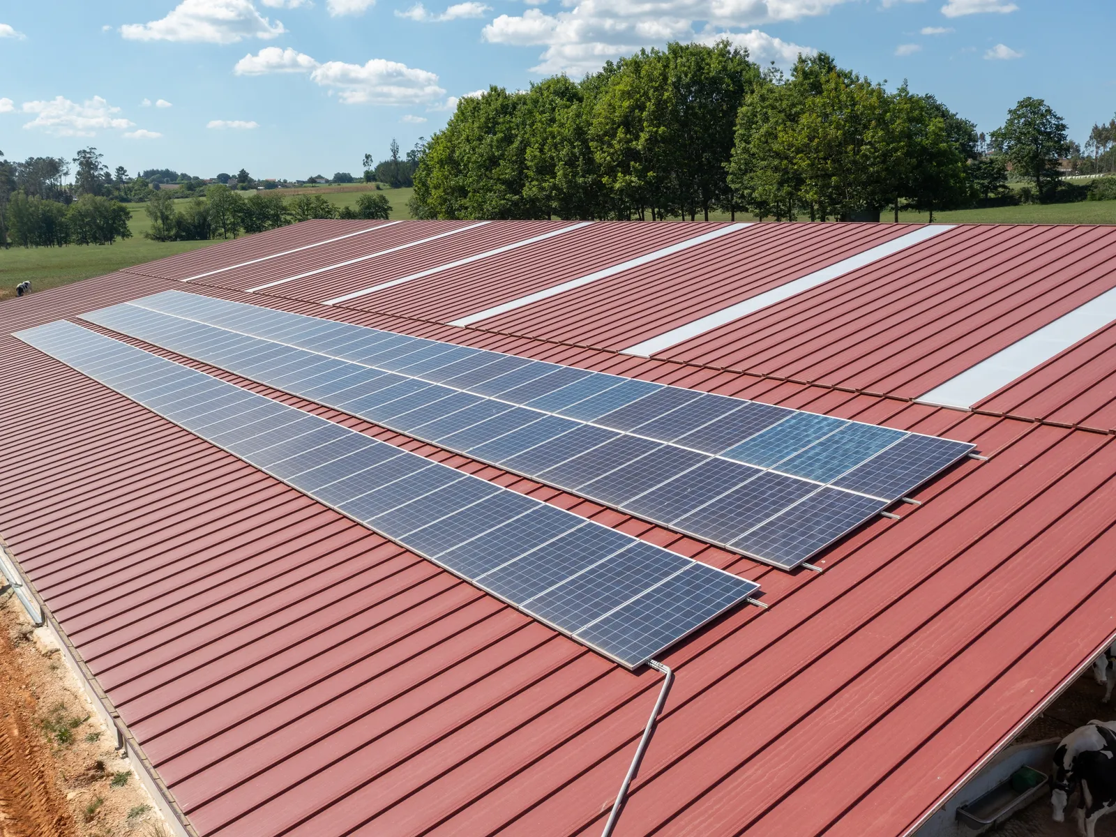 Photovoltaikmodule auf dem Blechdach einer Halle