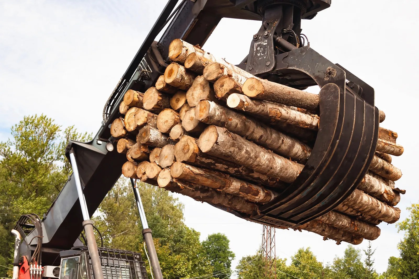 Kran mit Holzgreifer hebt Rundholz, den Rohstoff für Pellets