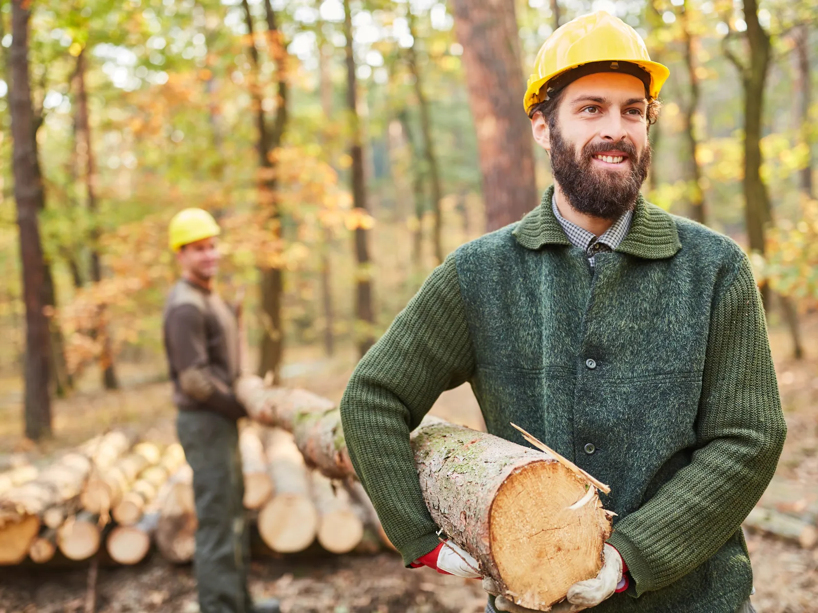 Forstwirt mit Schutzhelm trägt einen Holzstamm im Wald